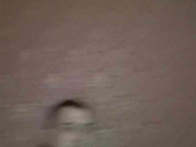 Deni-Pavla webcam