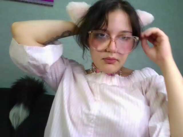 PurrfectChaosss