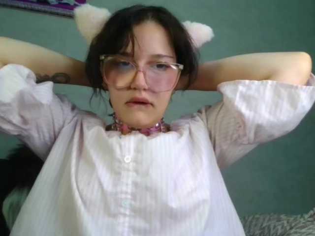PurrfectChaosss