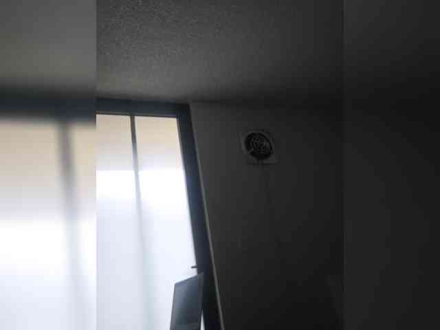 Zuludoll webcam