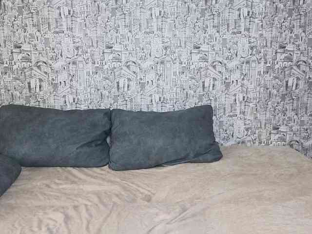 Модель: HoneyHook