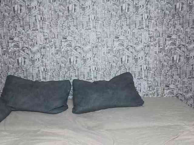 HoneyHook webcam
