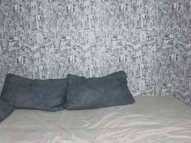 HoneyHook webcam