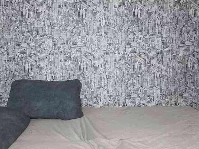 HoneyHook webcam