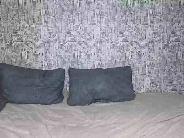 HoneyHook webcam