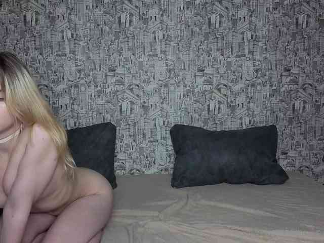 HoneyHook webcam
