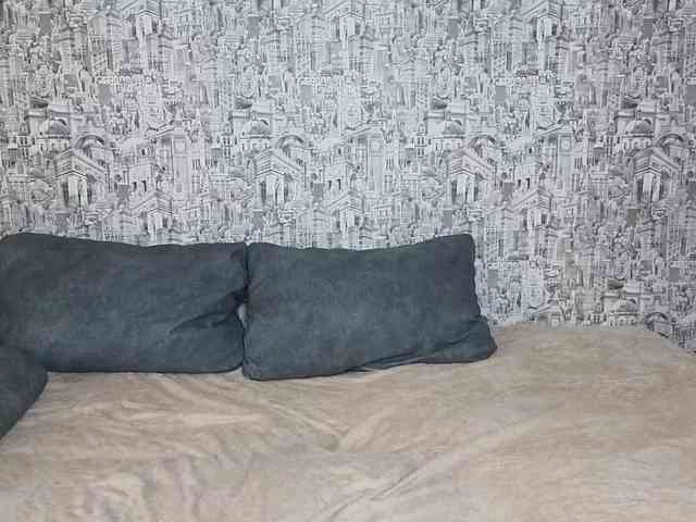 Модель: HoneyHook