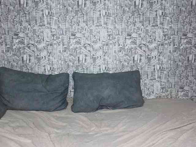 HoneyHook webcam
