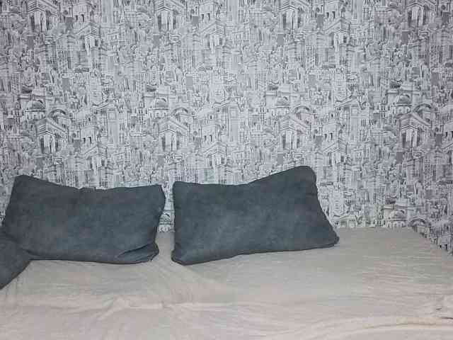 HoneyHook webcam