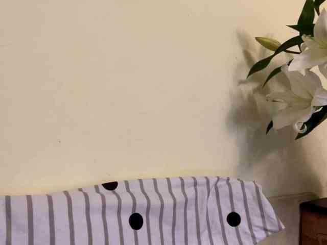 SakururaBloom webcam