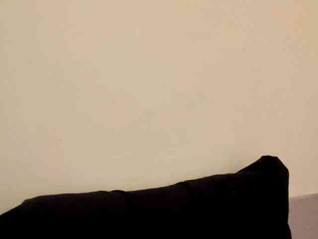 SakururaBloom webcam