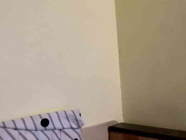 SakururaBloom webcam