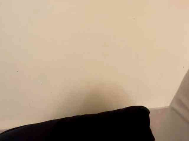 SakururaBloom webcam