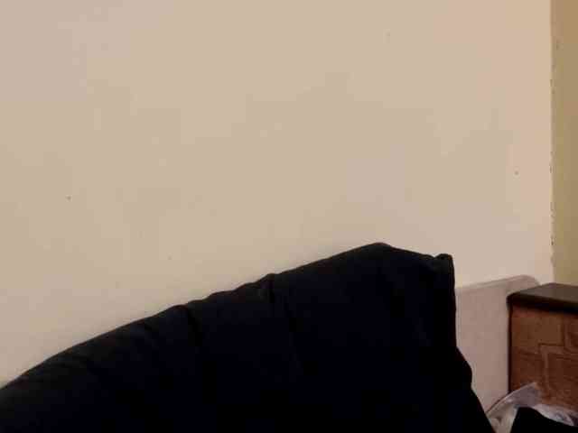 SakururaBloom webcam