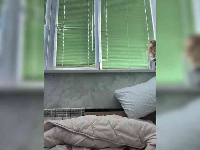 Pe4enkaa webcam