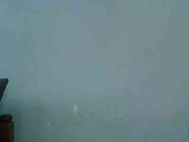 FreakyTrixie webcam