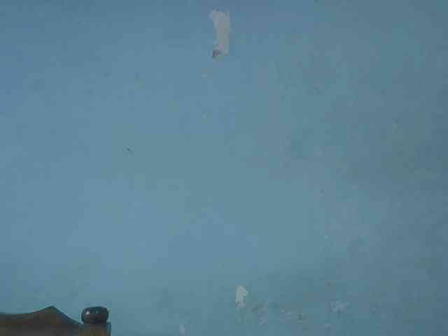 FreakyTrixie webcam