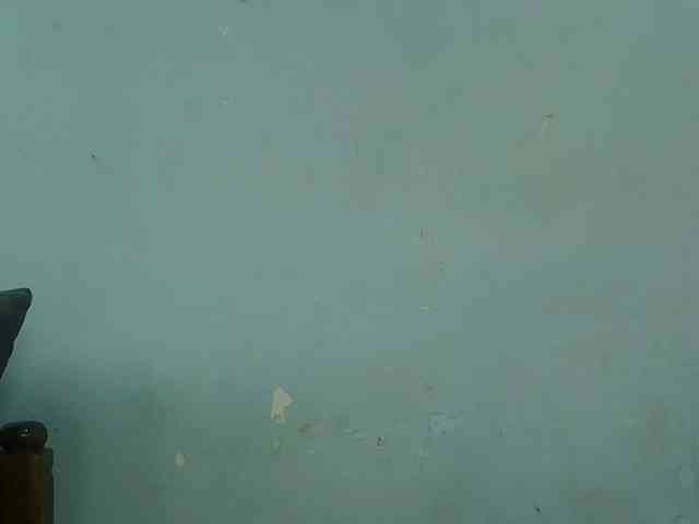 FreakyTrixie webcam
