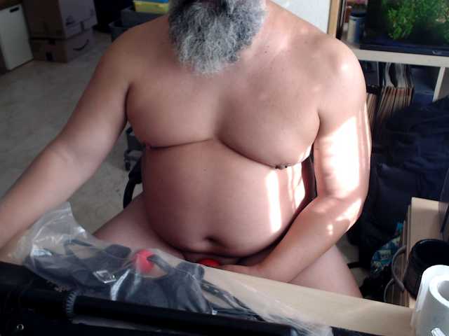 Alpistesub