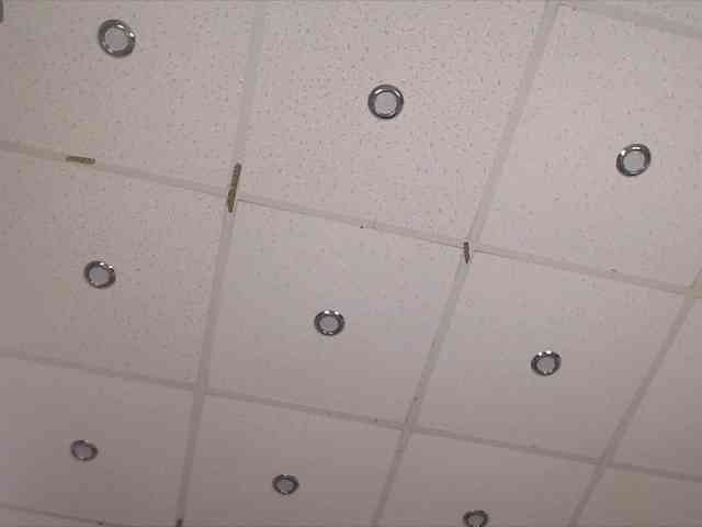Madiysony webcam