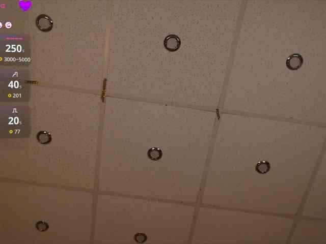 Madiysony webcam