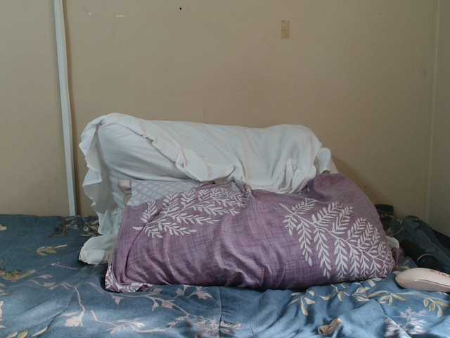 GoldenRush01 Live Cam and Statistics on UnifiedCams