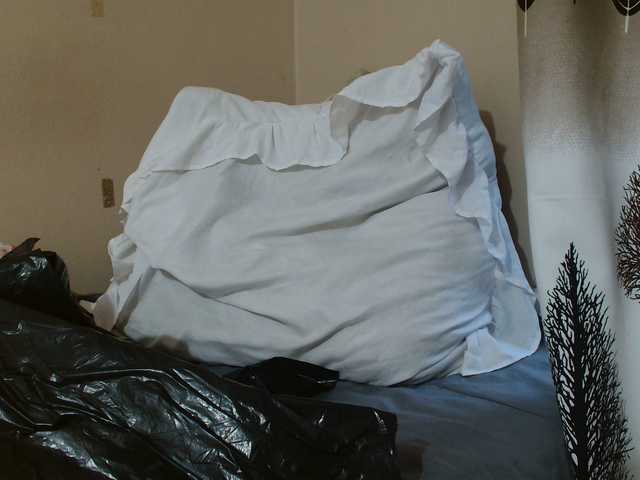 GoldenRush01's BongaCams show and profile