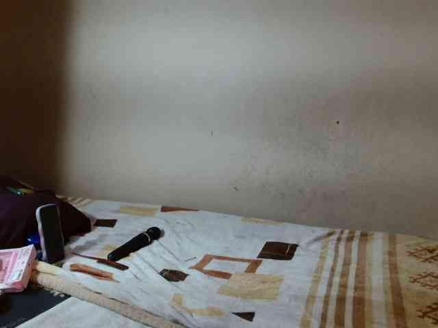GoldenRush01 webcam