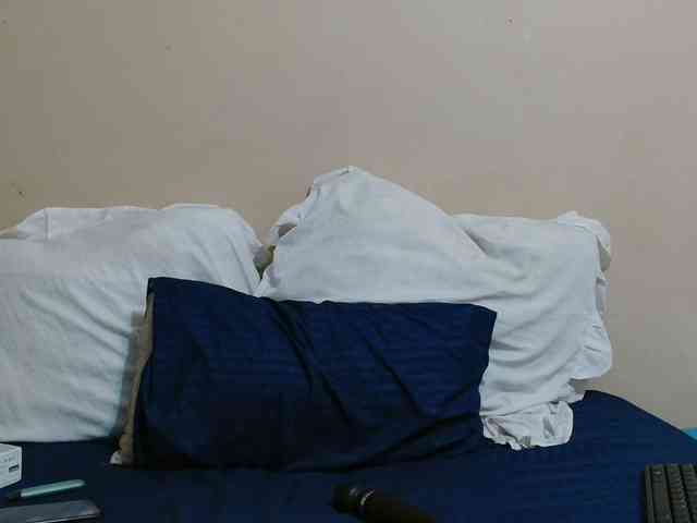 GoldenRush01 webcam