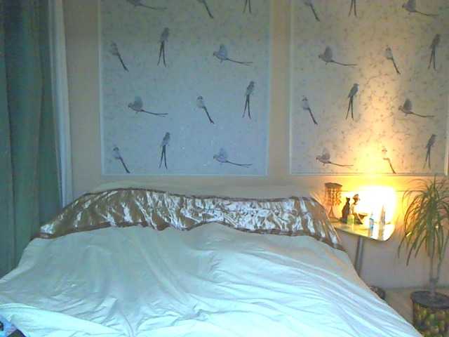 Preview of anessa7321