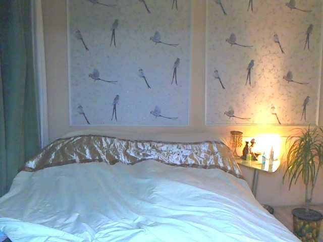 Preview of anessa7321