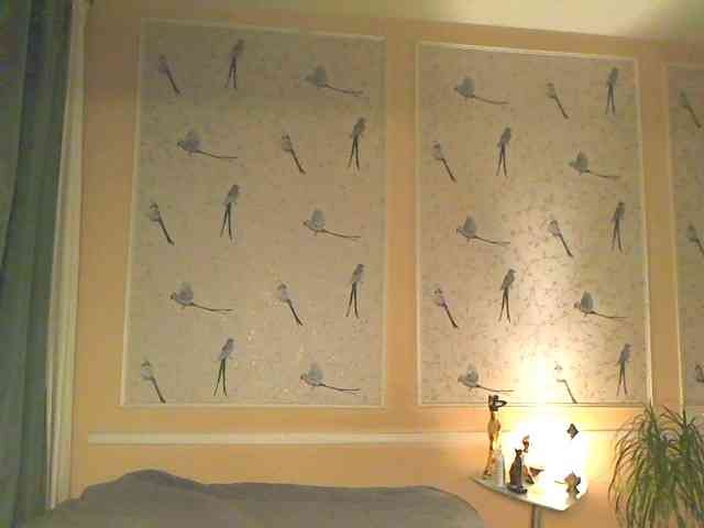 chat naked Anessa7321