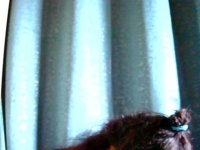 Anshia