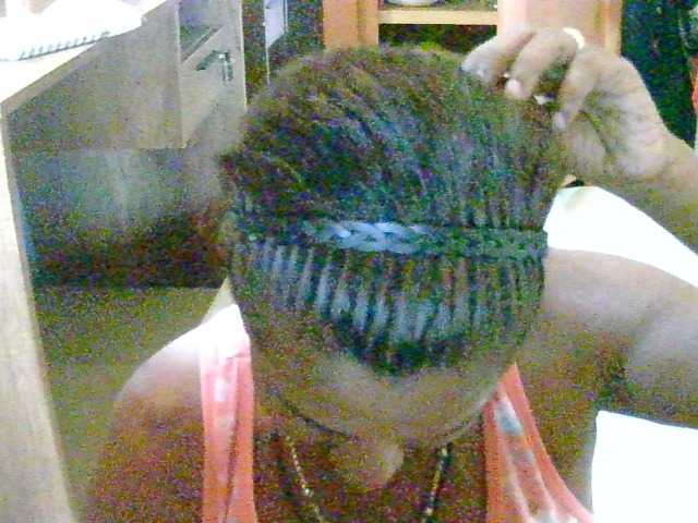 Anshia