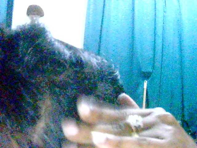 Anshia