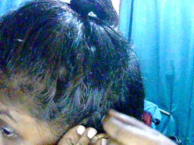 Anshia