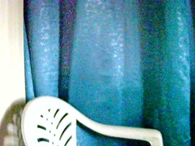 Anshia