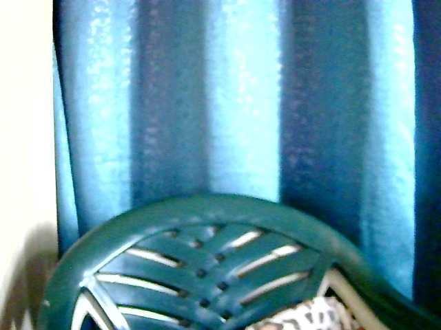 anshia online
