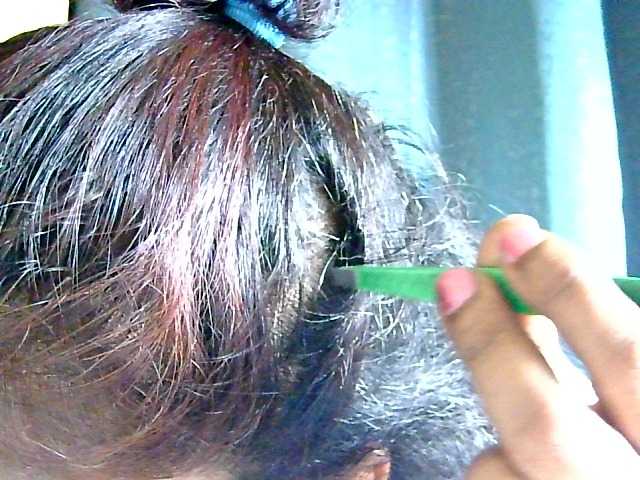Anshia
