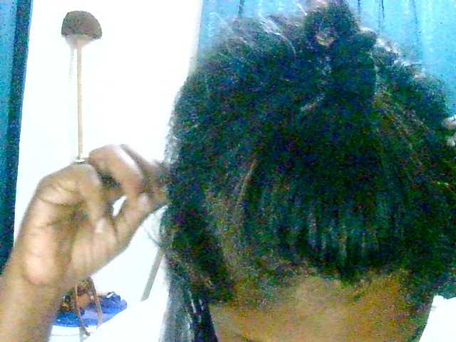 Anshia