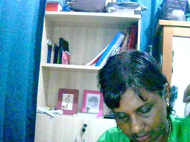 Anshia webcam