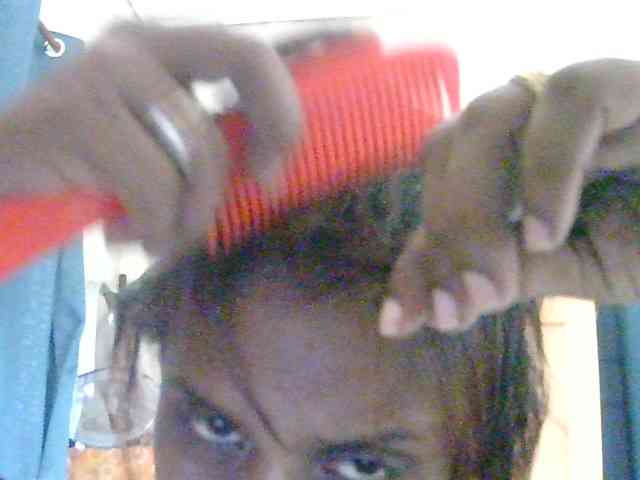 Anshia
