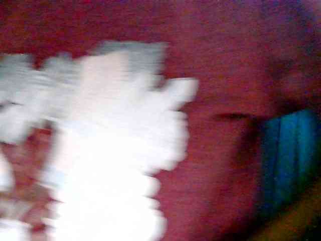 Anshia