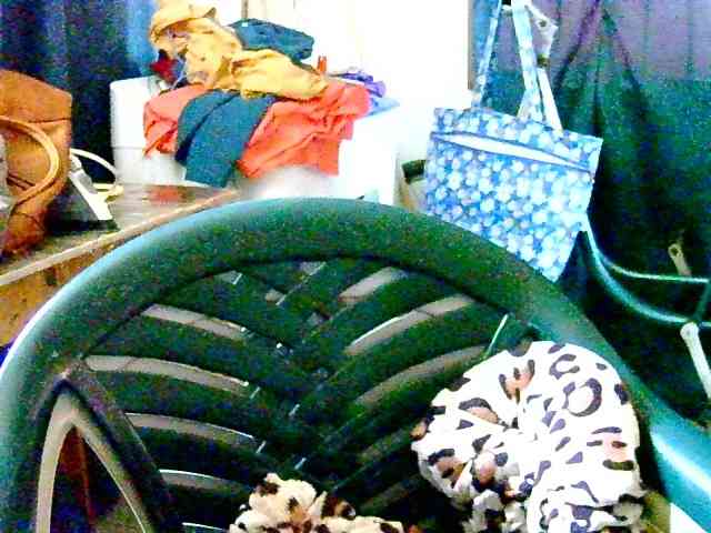 Anshia webcam