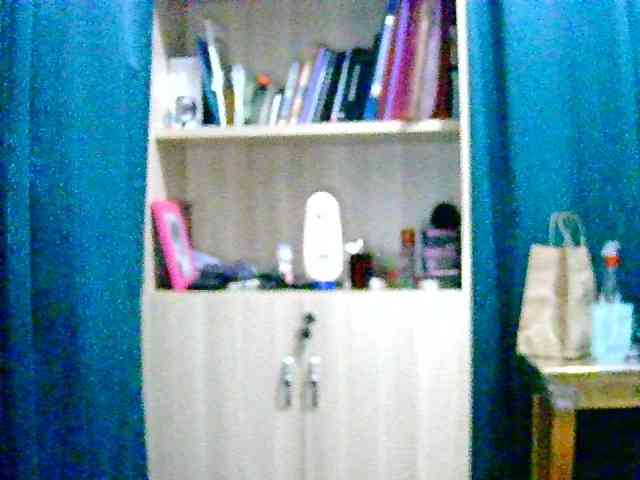 Anshia webcam