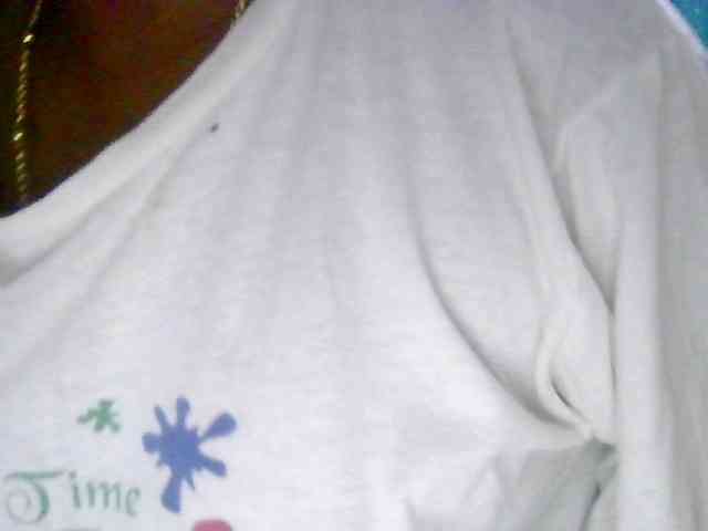 Anshia webcam