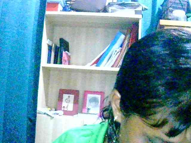 Anshia webcam