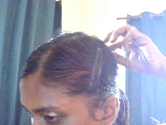 Model: Anshia