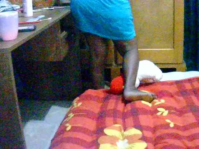 Anshia