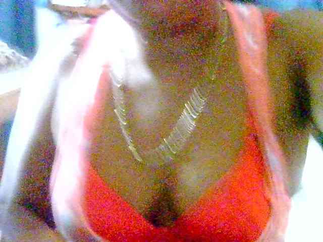 Model: Anshia